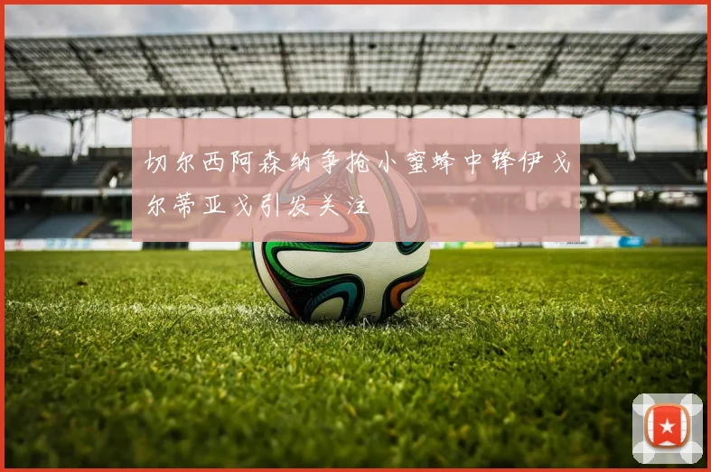 切尔西阿森纳争抢小蜜蜂中锋伊戈尔蒂亚戈引发关注