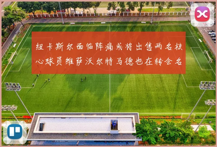 纽卡斯尔面临阵痛或将出售两名核心球员维萨沃尔特马德也在转会名单上